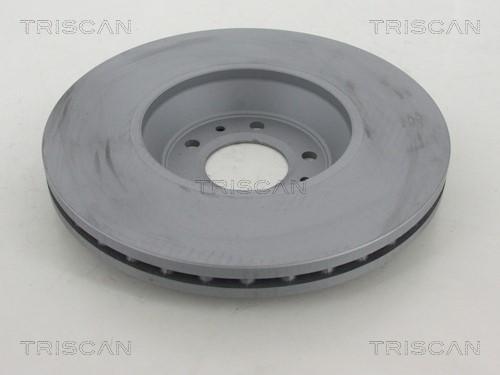Brake Disc TRISCAN 812028119C 2