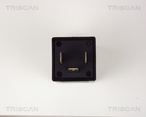 Flasher Unit TRISCAN 1010EP31 3