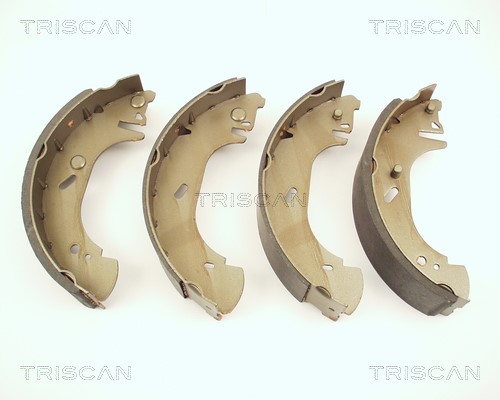 Brake Shoe Set TRISCAN 810016571