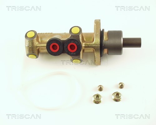 Brake Master Cylinder TRISCAN 813025113