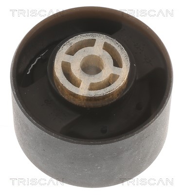 Mounting, engine TRISCAN 850510113