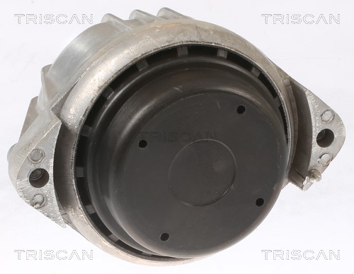 Mounting, engine TRISCAN 850511103 3