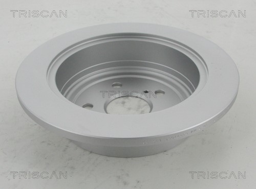 Brake Disc TRISCAN 812013181C 2