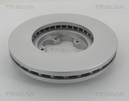 Brake Disc TRISCAN 812016172C 2