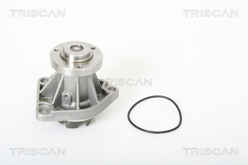 Water Pump, engine cooling TRISCAN 860024013