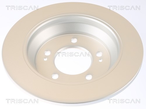 Brake Disc TRISCAN 812043191C 2