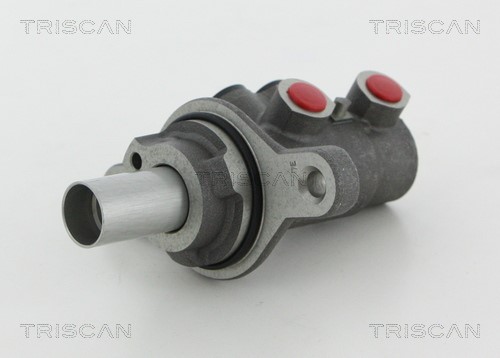 Brake Master Cylinder TRISCAN 813010119