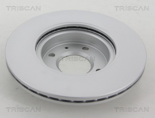 Brake Disc TRISCAN 812043109C 2