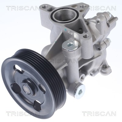 Water Pump, engine cooling TRISCAN 860069012