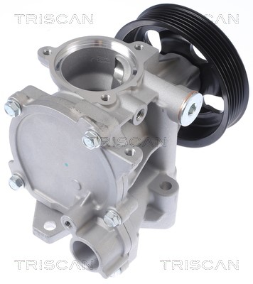 Water Pump, engine cooling TRISCAN 860069012 2