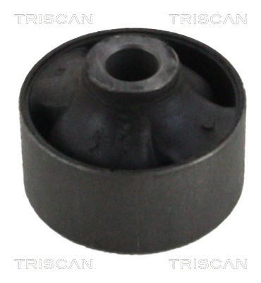 Mounting, control/trailing arm TRISCAN 850043812