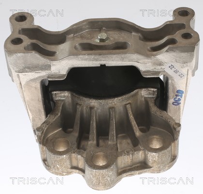 Mounting, engine TRISCAN 850516121