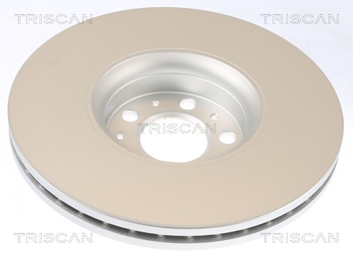 Brake Disc TRISCAN 812027162C 2