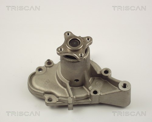 Water Pump, engine cooling TRISCAN 860043002