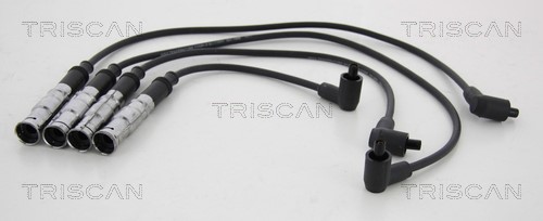 Ignition Cable Kit TRISCAN 886029042