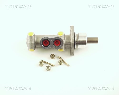 Brake Master Cylinder TRISCAN 813015129
