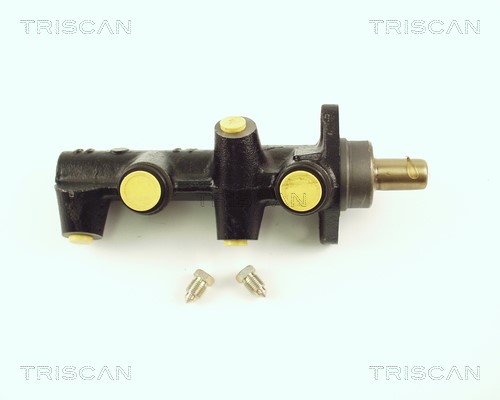 Brake Master Cylinder TRISCAN 813023107