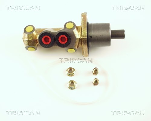 Brake Master Cylinder TRISCAN 813028103
