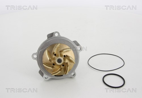 Water Pump, engine cooling TRISCAN 860080017 2