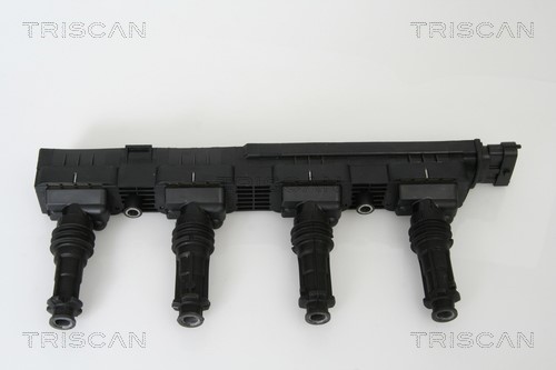 Ignition Coil TRISCAN 886024013