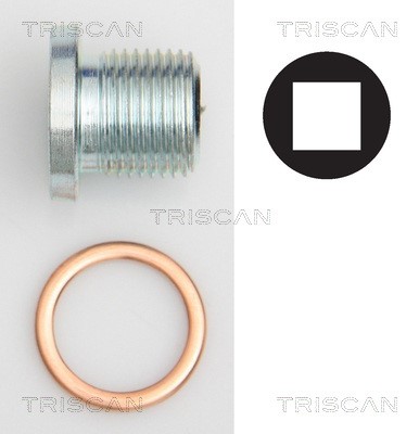 Screw Plug, oil sump TRISCAN 95001004