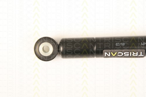 Vibration Damper, V-ribbed belt TRISCAN 87102317 2
