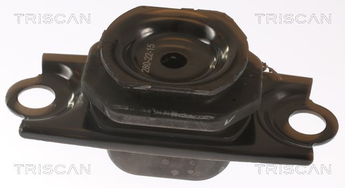 Mounting, engine TRISCAN 850525123