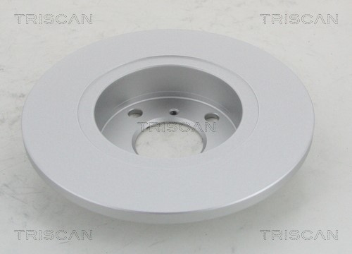 Brake Disc TRISCAN 812010153C 2
