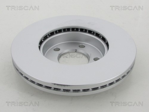 Brake Disc TRISCAN 812029175C 2