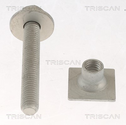 Repair Kit, wheel suspension TRISCAN 850027402