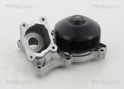 Water Pump, engine cooling TRISCAN 860011038