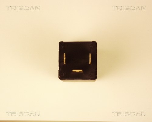 Flasher Unit TRISCAN 1010EP35 2