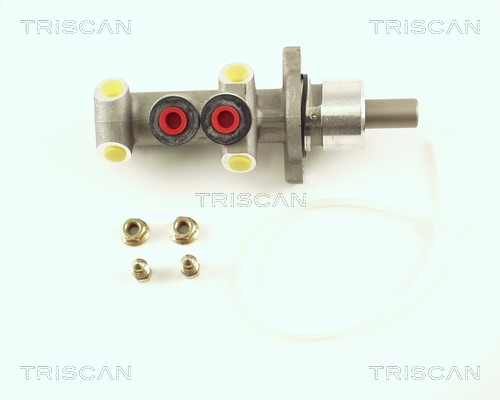 Brake Master Cylinder TRISCAN 813025121