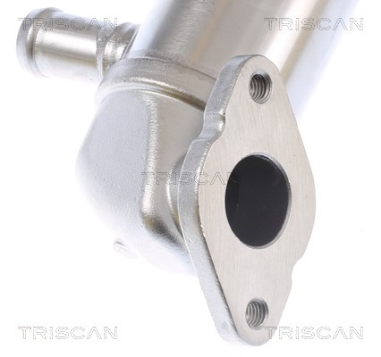 Cooler, exhaust gas recirculation TRISCAN 881329343 3