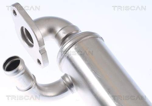 Cooler, exhaust gas recirculation TRISCAN 881329343 4