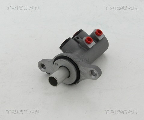 Brake Master Cylinder TRISCAN 813010122