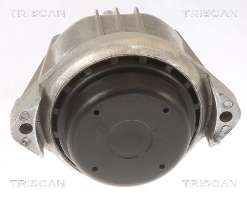Mounting, engine TRISCAN 850511107 2