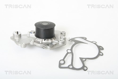 Water Pump, engine cooling TRISCAN 860043007
