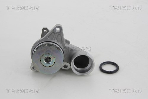 Water Pump, engine cooling TRISCAN 860043012 2