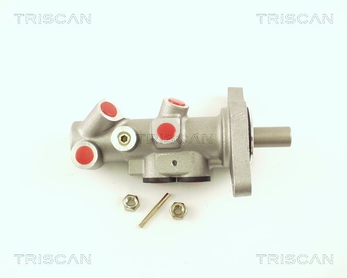 Brake Master Cylinder TRISCAN 813029143