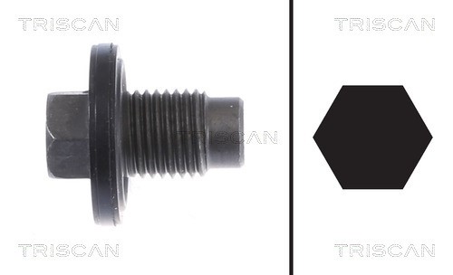 Screw Plug, oil sump TRISCAN 95001021