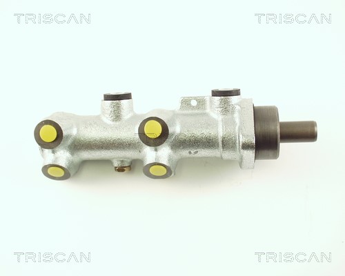 Brake Master Cylinder TRISCAN 813025118