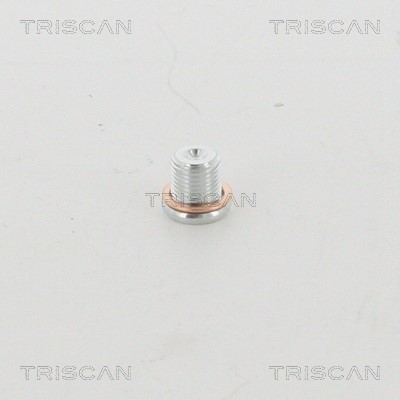 Screw Plug, oil sump TRISCAN 95-0959