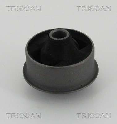 Mounting, control/trailing arm TRISCAN 850013834