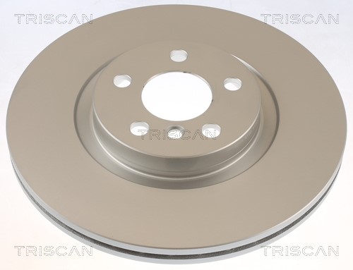Brake Disc TRISCAN 8120111069C