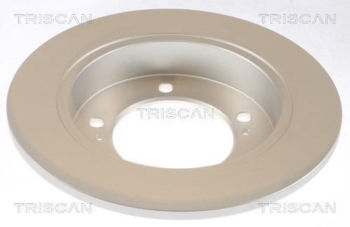 Brake Disc TRISCAN 812069106C 2