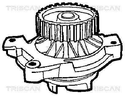 Water Pump, engine cooling TRISCAN 860029962 2