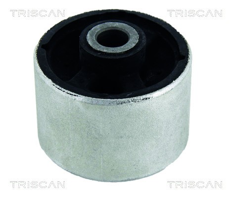 Mounting, control/trailing arm TRISCAN 850025830