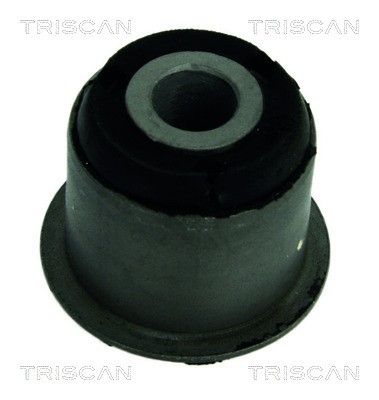 Mounting, control/trailing arm TRISCAN 850038809