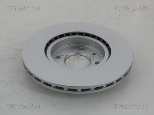 Brake Disc TRISCAN 812010101C 2